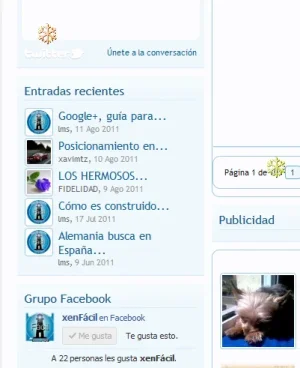37.webp