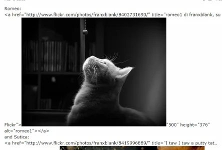 1555691132653.webp