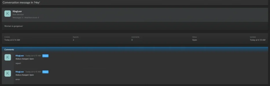 report.webp