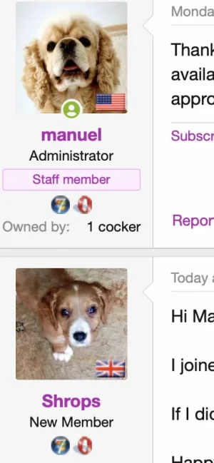 Screen Shot 2019-04-21 at 9.42.59 PM.webp