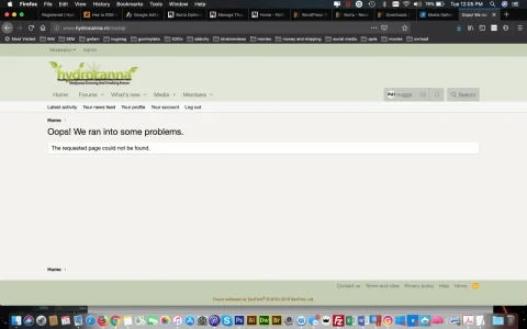 Screen Shot 2019-05-28 at 12.05.19 PM.webp