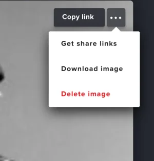 Screen Shot 2019-06-04 at 3.34.12 PM.webp
