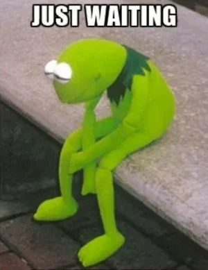 kermit_waiting.webp