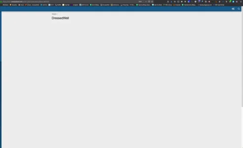 DressedWell - Admin control panel 2019-07-28 23-25-46.webp