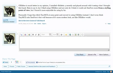 ckeditor.webp