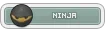 Ninja.webp