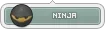 Ninja_fl.webp