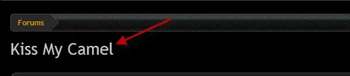 remove.webp