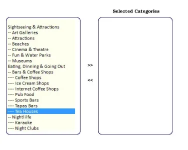 idea-for-multiple-category-selection-window.webp