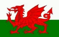 ddraig.webp