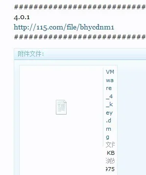 XF_BUG.webp
