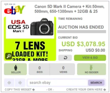 ebayItem.webp