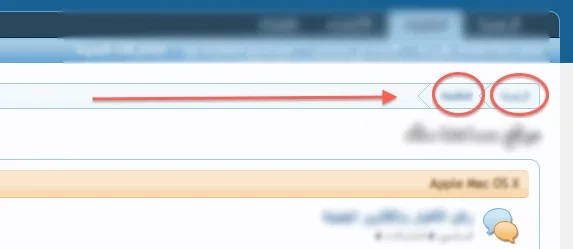 8.webp