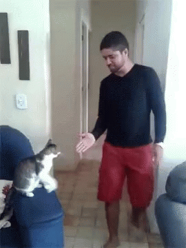 A23DB60D-788D-4B3E-AB72-1963EC4CCD1D.gif