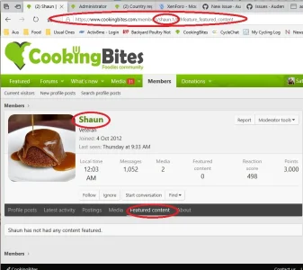 CookingBItes example link error leads to.webp