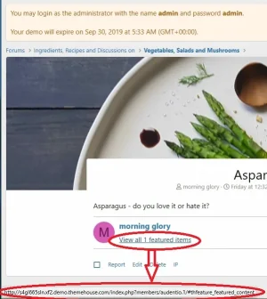 demo example link error.webp