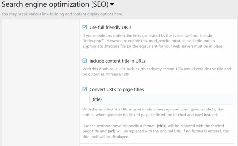 XF-SEO-options.webp