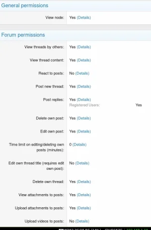 screen.webp