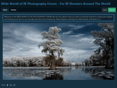 IR Forum Pic.webp