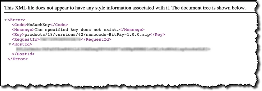 nanocode.io-bitpay-xml-error.webp