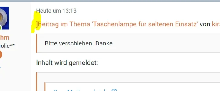 report.webp