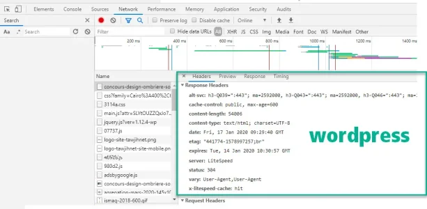 wordpress.webp