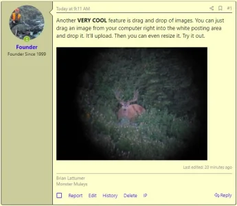 example 1.webp