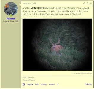 example 2.webp