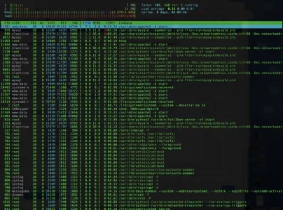 Screen Shot 2020-02-05 at 1.13.17 PM.webp