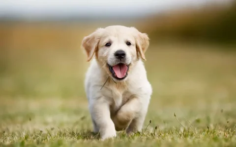 1582832389812.webp