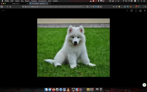 1582835036005.webp