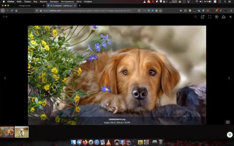 1582835107467.webp