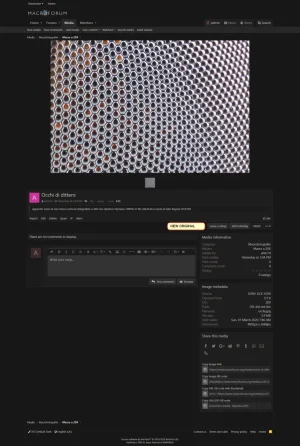 xenforo.webp