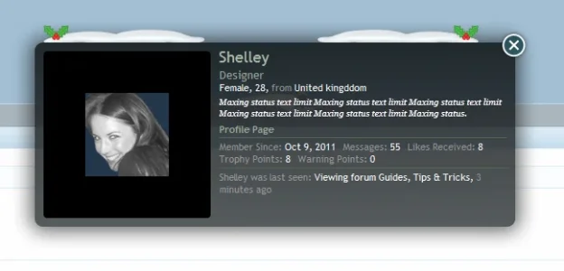 membercard_snow_preview.webp