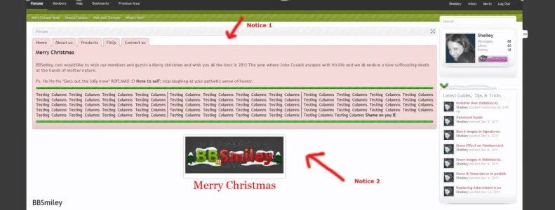 xmassssssnotice.webp