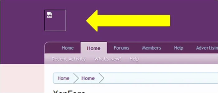 header.webp