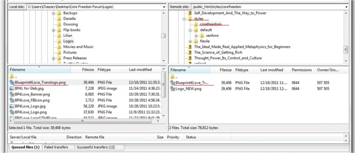 ftp screen shot.webp