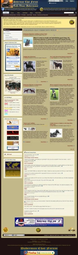 dobermanchatorg.webp