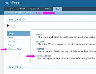 terms_navbar.webp