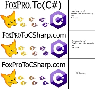 logo-options.webp