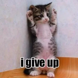 I-give-up.webp