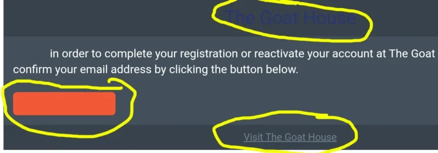Email Button.webp