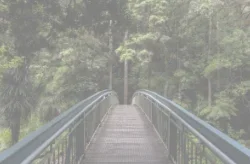 1587749313194.webp