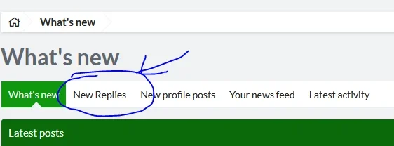 new replies.webp new replies.webp
