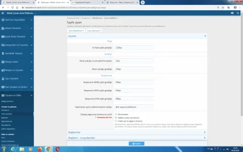 temadasayfaayarı.webp