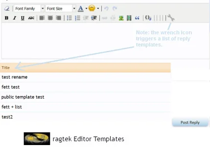 ragtek.editor.templates.reply.text.webp