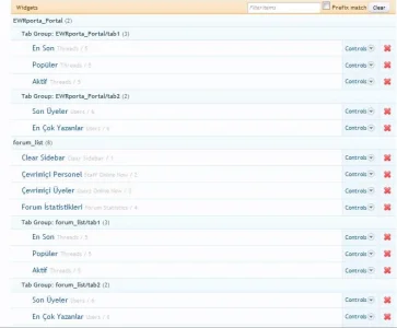 widget.webp