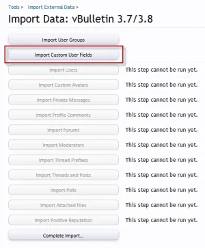custom fields.webp