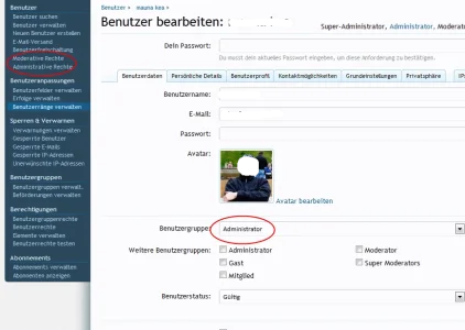 admin.webp