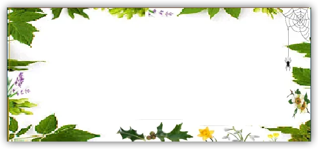 membercard-morgain.webp